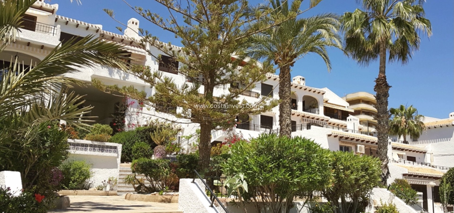 Herverkoop - Appartement - Orihuela Costa - Cabo Roig