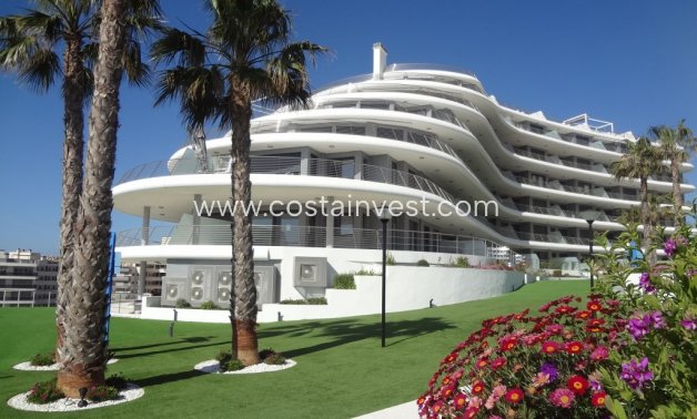 Herverkoop - Appartement - Alicante - Arenales del Sol