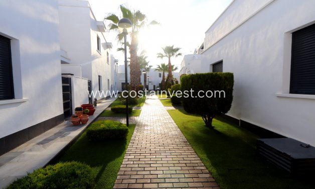 Wiederverkauf - Doppelhaushälfte - Orihuela Costa - Lomas de Cabo Roig 