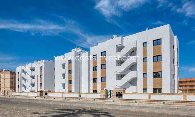 Nybyggnad - Takvåning - Guardamar del Segura
