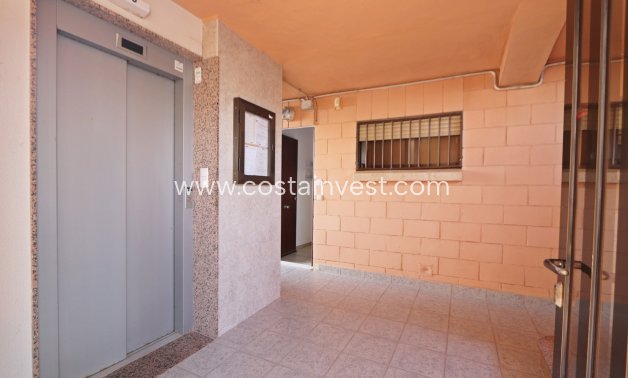 Rynek wtórny - Apartament - Torrevieja - Cabo Cervera