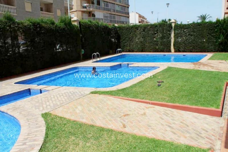 Apartament - Rynek wtórny - Torrevieja - Playa de los Locos