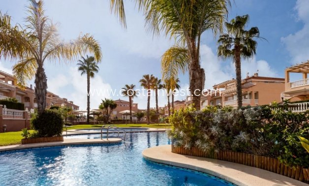 Uthyrning - Lägenhet översta plan - Orihuela Costa - Playa Flamenca
