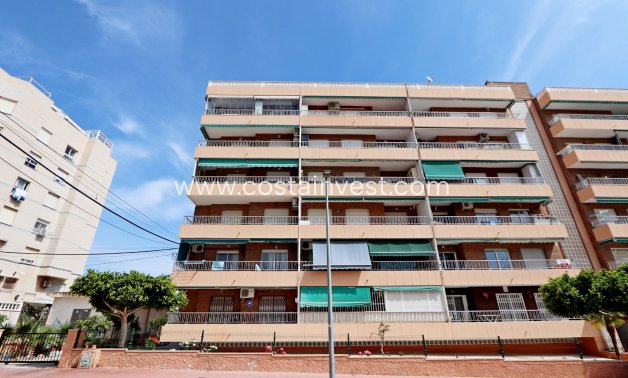 Wiederverkauf - Apartment - Orihuela Costa - Punta Prima