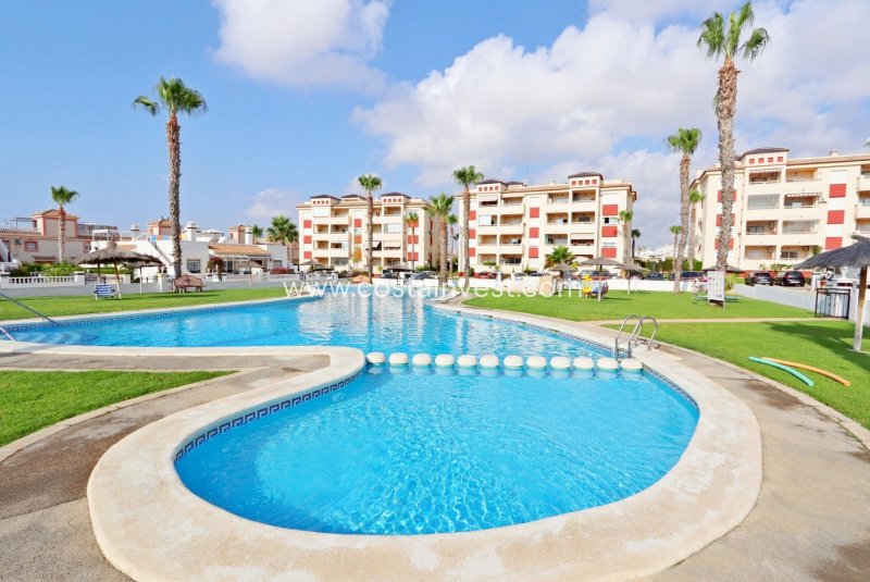 Lägenhet översta plan - Begagnat - Orihuela Costa - Playa Flamenca