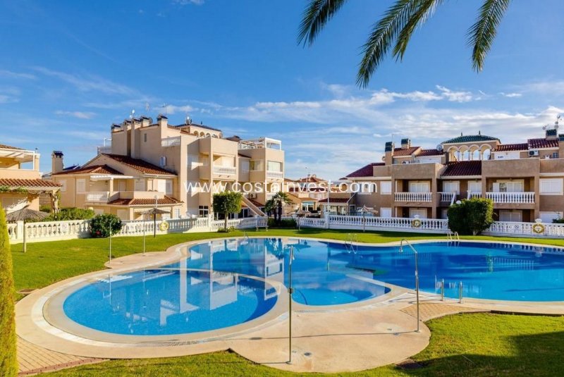 Lägenhet översta plan - Begagnat - Orihuela Costa - Playa Flamenca