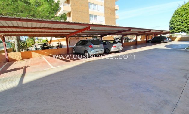 Rynek wtórny - Apartament - Orihuela Costa - Punta Prima