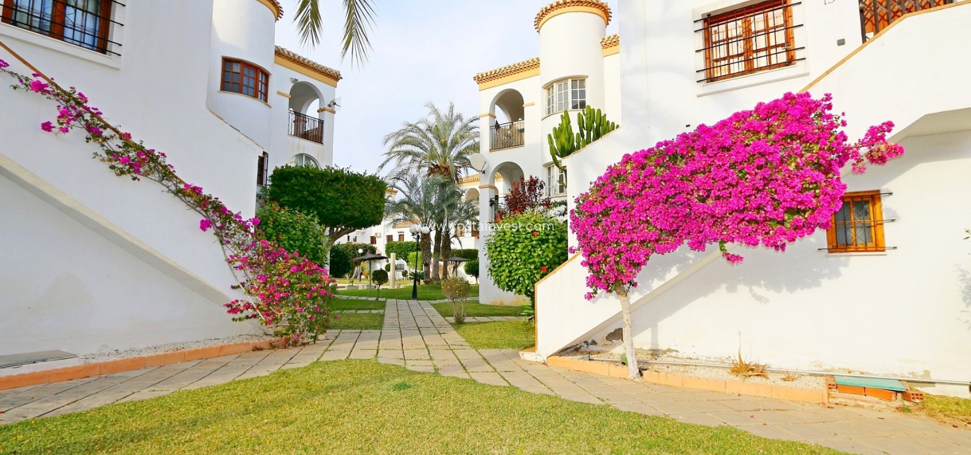 Kurzzeitmiete - Apartment - Orihuela Costa - Playa Flamenca