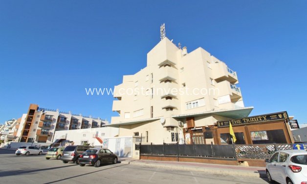 Rynek wtórny - Apartament - Orihuela Costa - Aguamarina