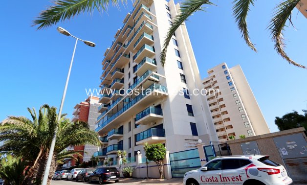 Rynek wtórny - Apartament - Torrevieja - La Veleta