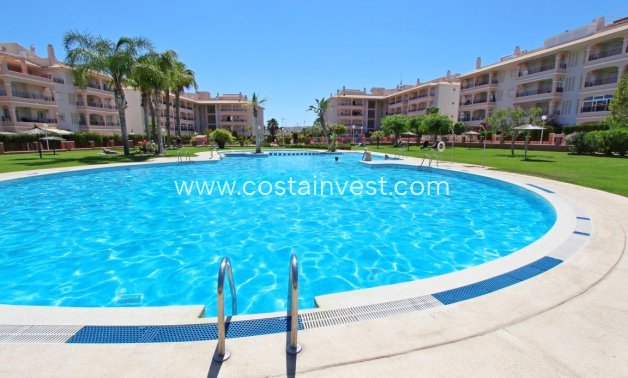 Vermietung - Apartment - Orihuela Costa - Playa Flamenca