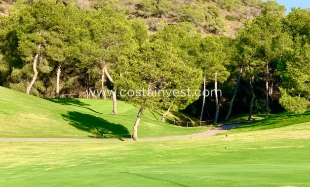 Revânzare - Penthouse - Orihuela Costa - Ramblas golf