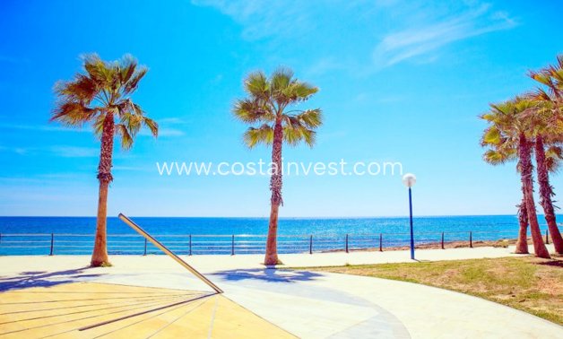 Begagnat - Parhus - Orihuela Costa - Playa Flamenca
