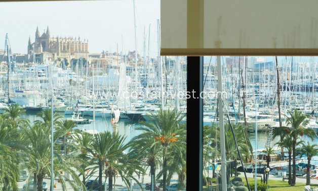 Nieuwbouw - Penthouse - Mallorca