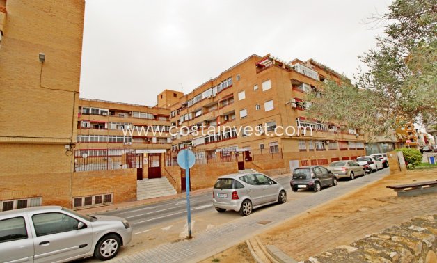 Herverkoop - Appartement - Torrevieja - Downtown
