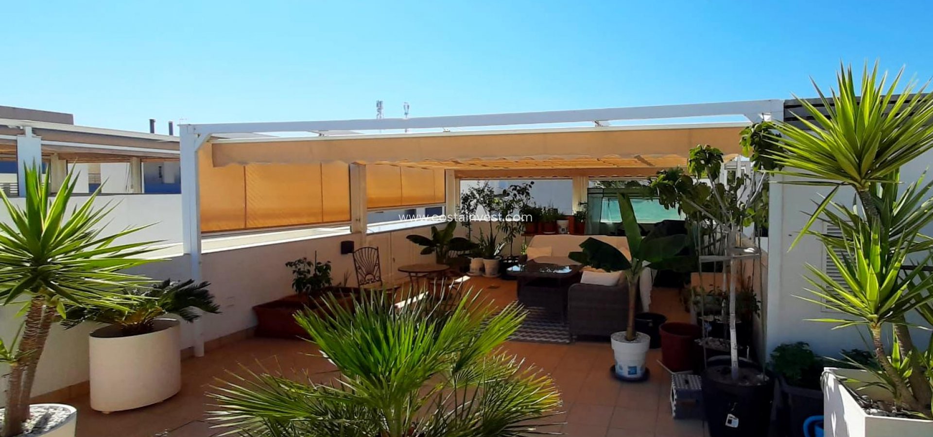 Wiederverkauf - Dachgeschosswohnung - Orihuela Costa - La Zenia