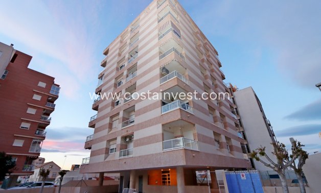Rynek wtórny - Apartament - Torrevieja - Nueva Torrevieja