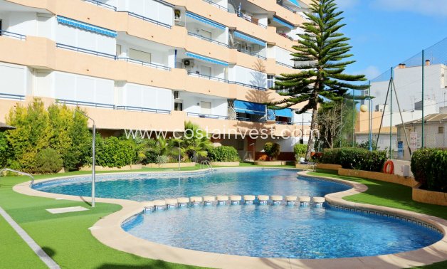 Short time rental - Appartement - Torrevieja - Playa del Acequión