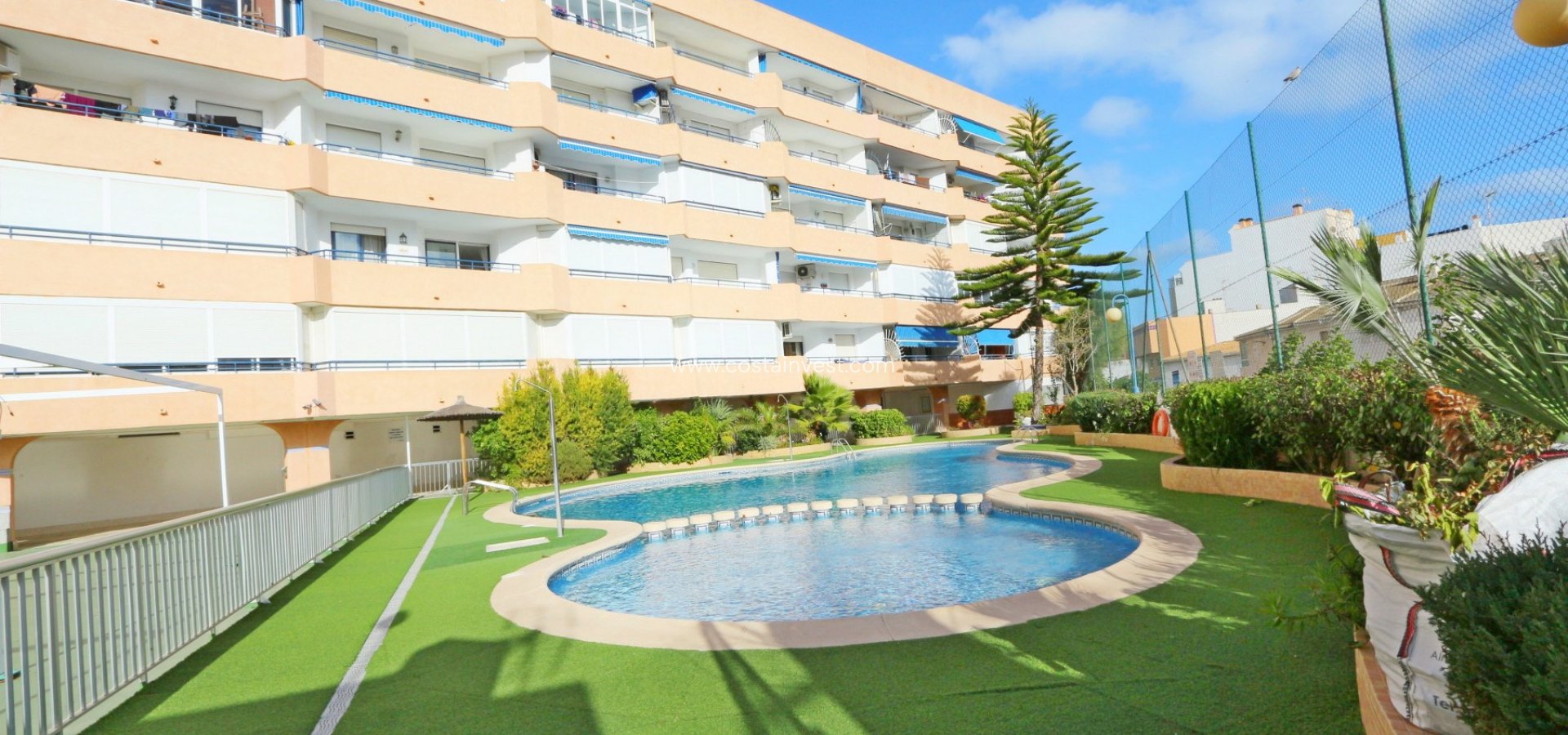Short time rental - Apartment - Torrevieja - Playa del Acequión