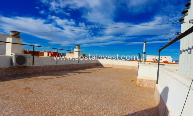 Uthyrning - Lägenhet - Torrevieja - Playa del Acequión