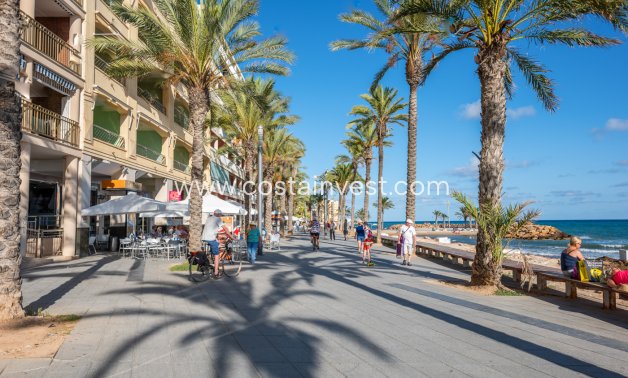 Rynek wtórny - Penthouse - Torrevieja - Playa del Cura