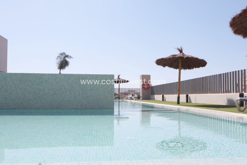 Lägenhet - Begagnat - Orihuela Costa - Playa Flamenca