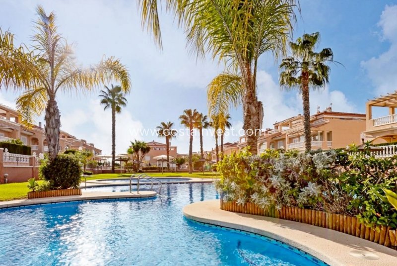 Lägenhet översta plan - Uthyrning - Orihuela Costa - Playa Flamenca