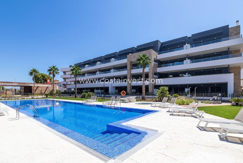 Apartment - Vermietung - Orihuela Costa - Playa Flamenca
