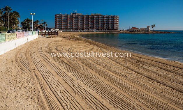 Resale - Apartment - Torrevieja - Playa de los Locos