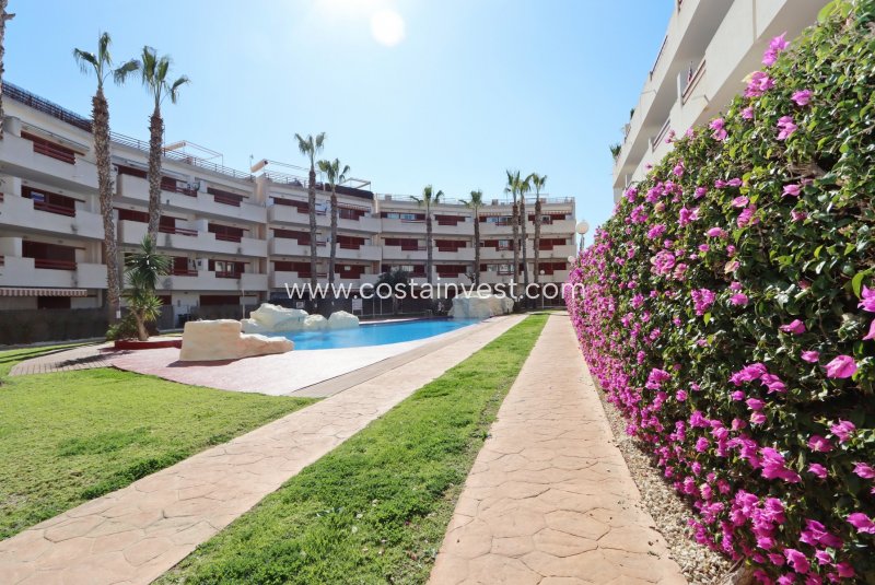 Apartament - Rynek wtórny - Orihuela Costa - Playa Flamenca