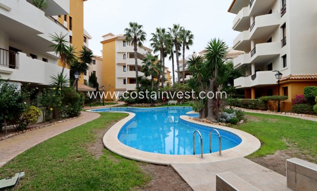 Apartamento - Reventa - Orihuela Costa - 10906