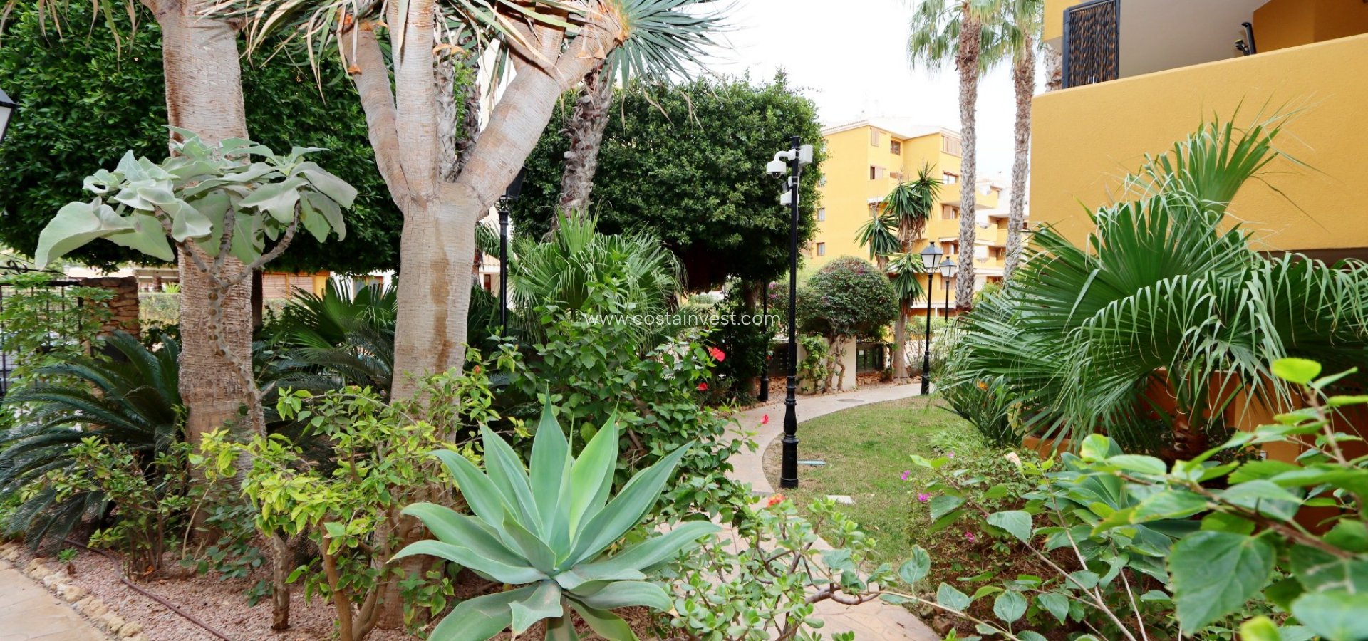 Rynek wtórny - Apartament - Orihuela Costa - Punta Prima