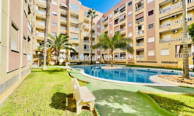 Rynek wtórny - Apartament - Torrevieja - Parque de las Naciones