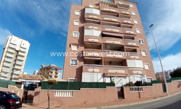 Apartament - Rynek wtórny - Guardamar del Segura - 10999