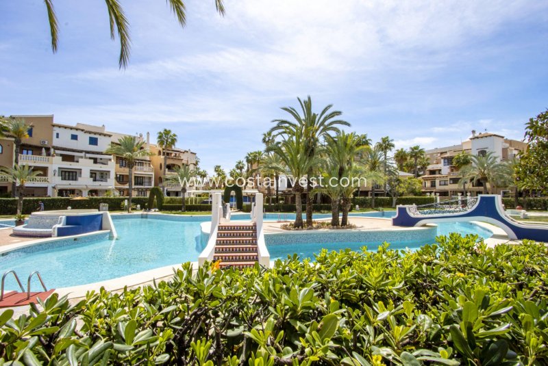 Apartament na parterze - Rynek wtórny - Torrevieja - Playa de los Locos