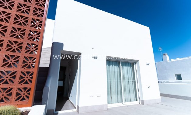 Nová stavba - Vila - Pilar de la Horadada