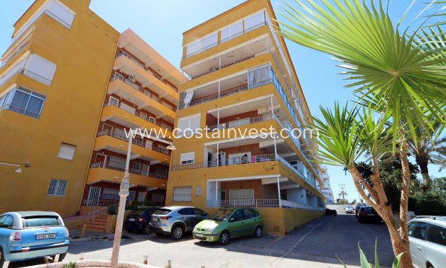 Reventa - Apartamento Planta Baja - Torrevieja