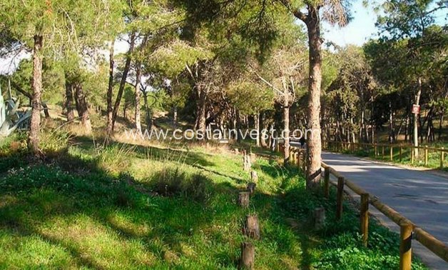 Resale - Apartment - Guardamar del Segura