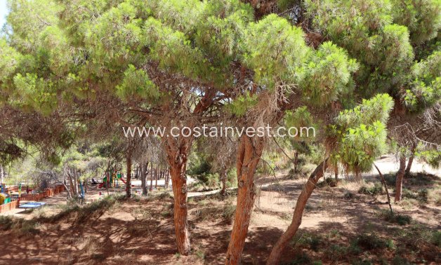 Resale - Apartment - Guardamar del Segura