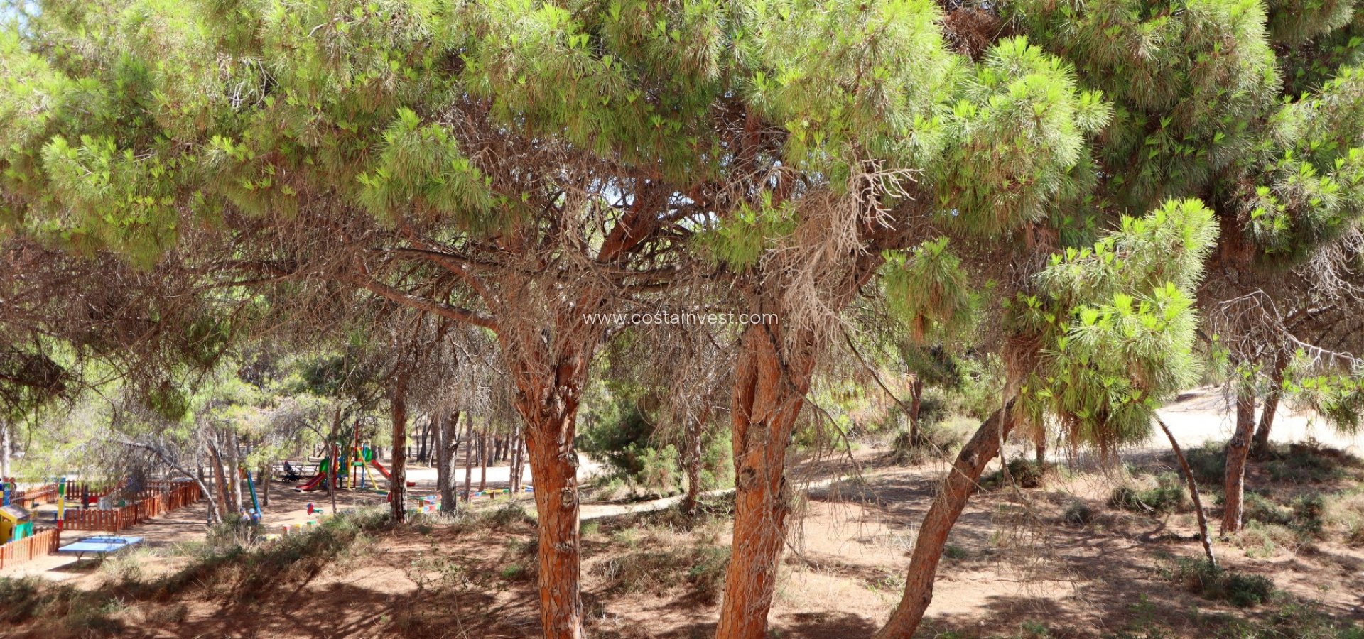 Resale - Apartment - Guardamar del Segura