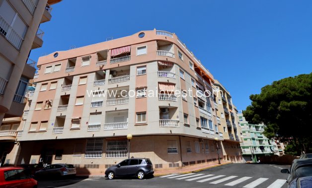Resale - Apartment - Guardamar del Segura
