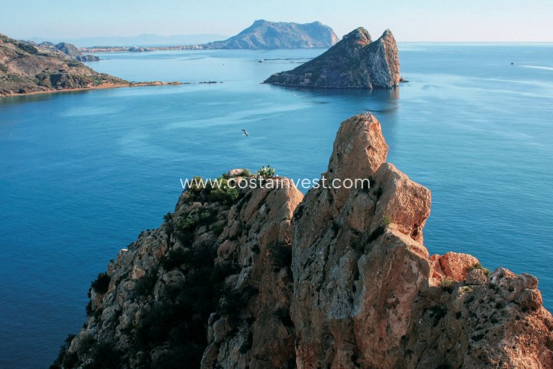Penthouse - Neubau - Murcia - Murcia