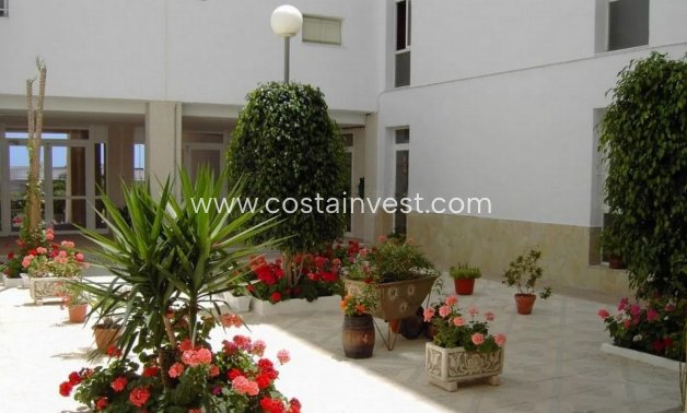 перепродажа - Апартаменты - Torrevieja - Torrelamata
