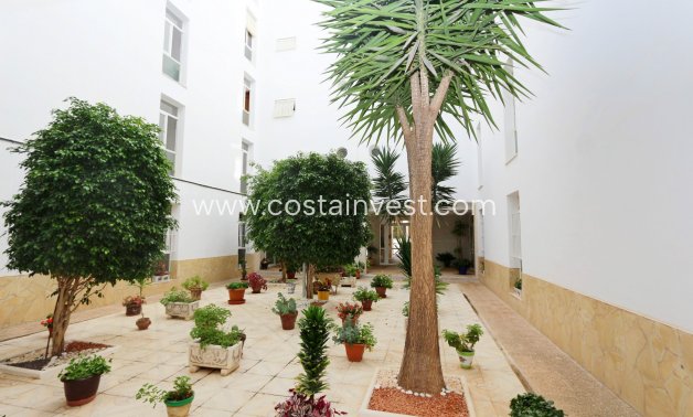 перепродажа - Апартаменты - Torrevieja - Torrelamata