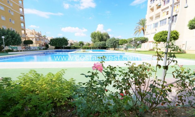 перепродажа - Апартаменты - Torrevieja - Torrelamata