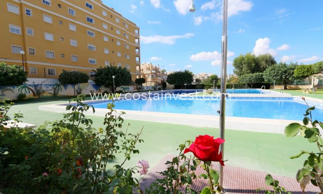 перепродажа - Апартаменты - Torrevieja - Torrelamata