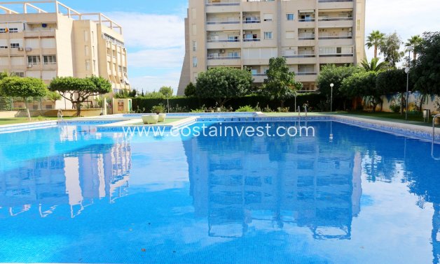 перепродажа - Апартаменты - Torrevieja - Torrelamata