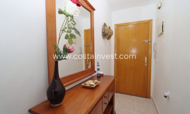 Resale - Apartment - Torrevieja - Playa de los Locos