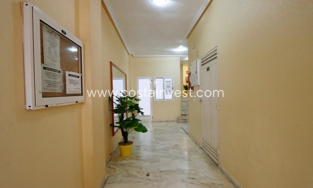 Resale - Apartment - Torrevieja - Playa de los Locos