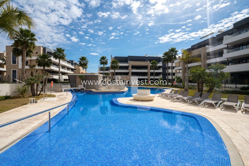 Přístřešek - Další prodej - Orihuela Costa - Playa Flamenca